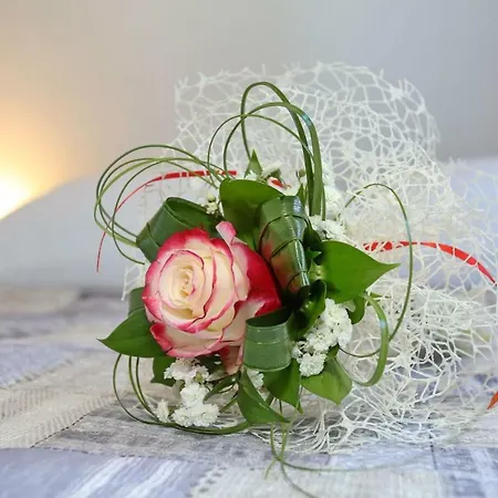 Two New By The Town Center Задар