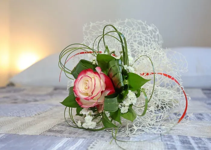 Two New By The Town Center Zadar